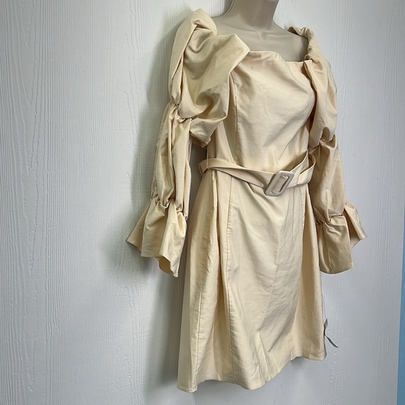 ASOS - NWT Luxe Curve Strength Detachable Belted Extreme Sleeve Dress Size 14 - Picture 4 of 12